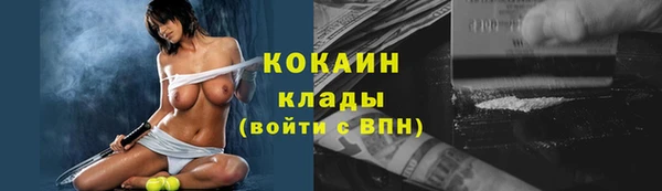 твердый Абаза
