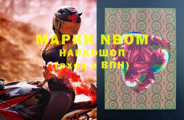 гашик Алексин