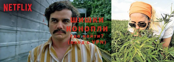 МДПВ Абдулино