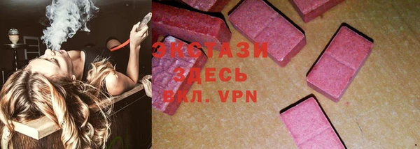 гашик Алексин