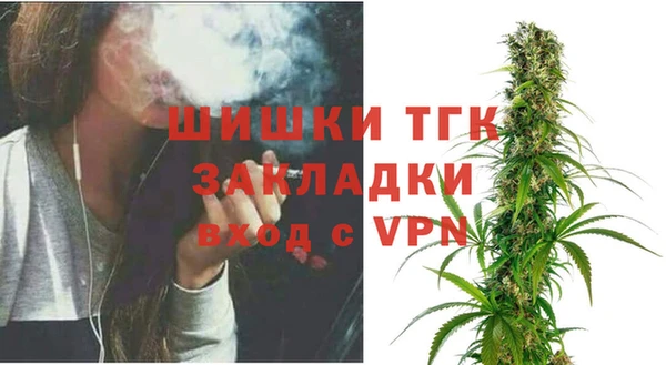 твердый Абаза